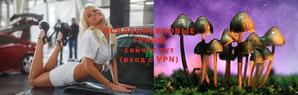 не бодяженный Абаза