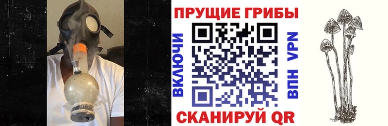 Галлюциногенные грибы прущие грибы  дарк нет состав  Рославль 