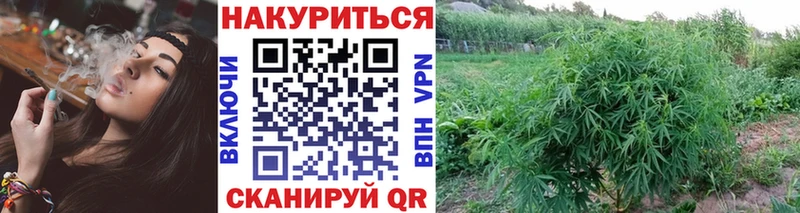 площадка состав  Рославль  Бошки Шишки Amnesia 